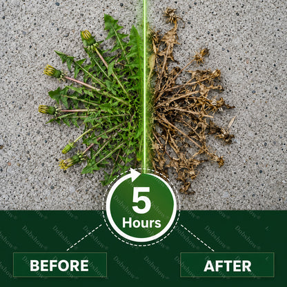 🏆UK 𝙊𝙛𝙛𝙞𝙘𝙞𝙖𝙡 𝙎𝙩𝙤𝙧𝙚 | Healrize® 5-Hour Max Power Dual-Action Herbicide | Fast-Acting Granules for Stubborn Weeds & Brush